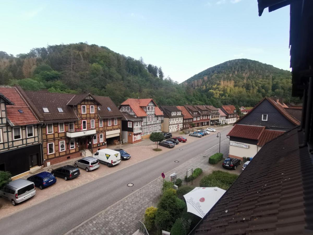 Hotel And Restaurant Bergschloesschen Zorge Luaran gambar
