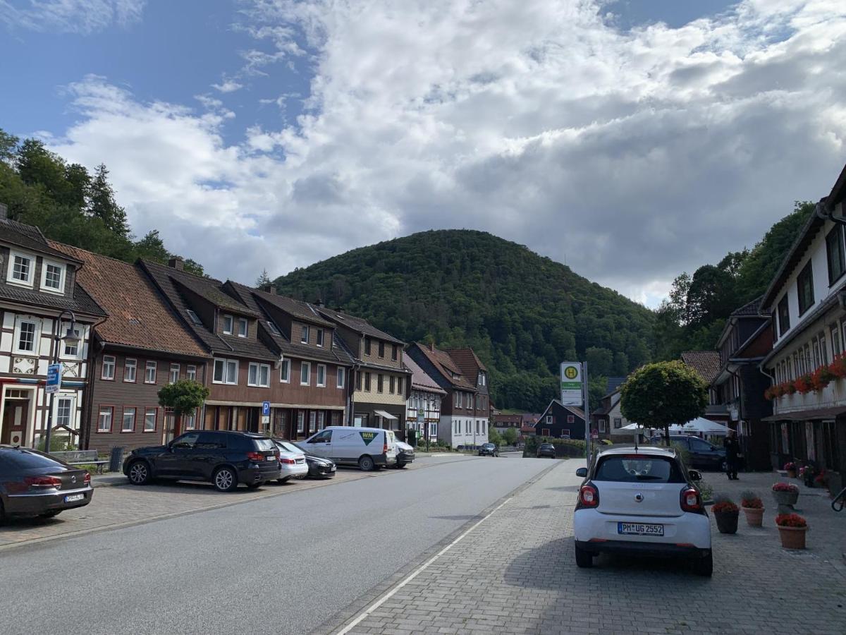 Hotel And Restaurant Bergschloesschen Zorge Luaran gambar