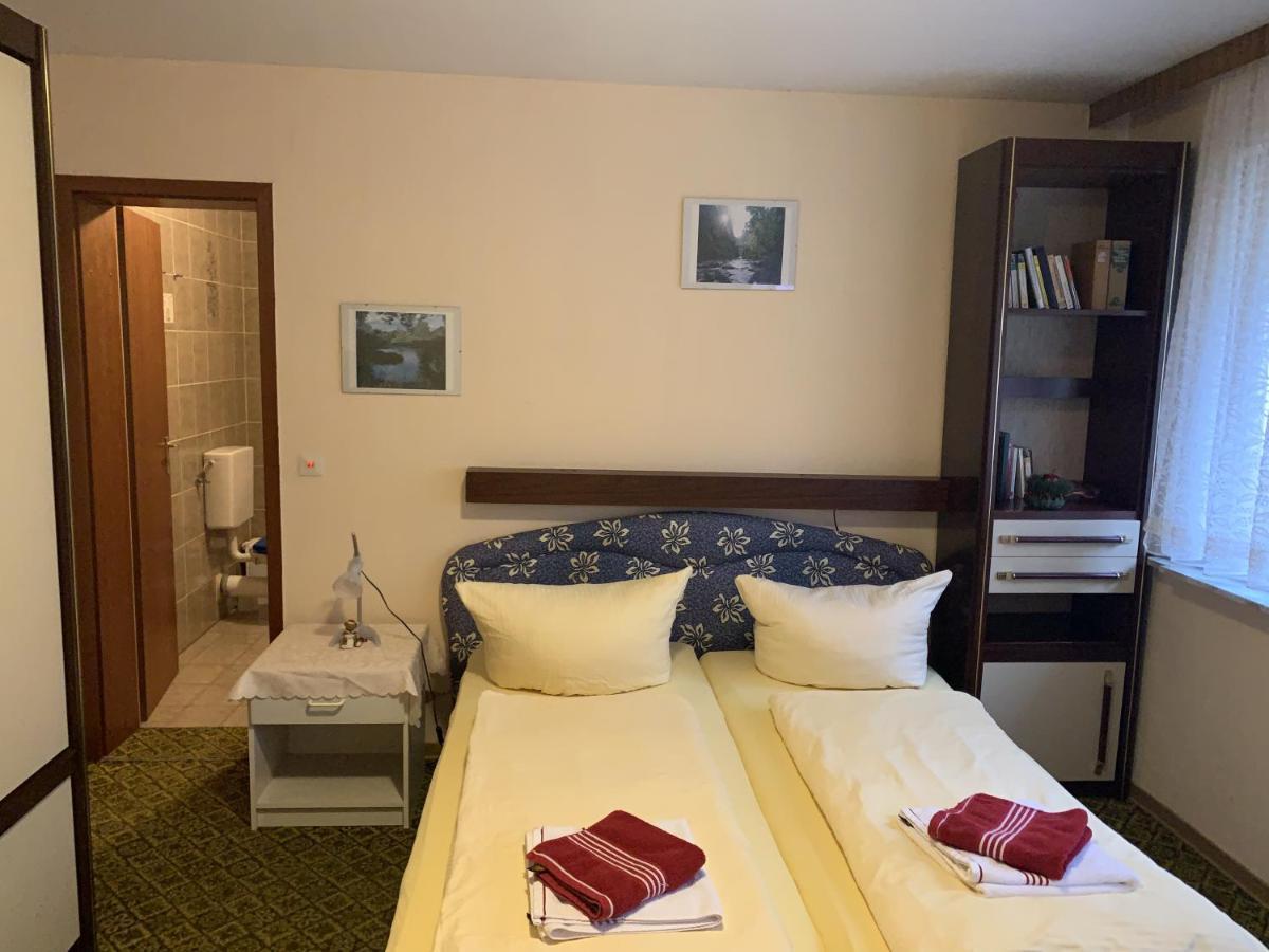 Hotel And Restaurant Bergschloesschen Zorge Luaran gambar